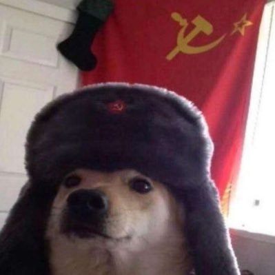 ela/dela 🫧 fire&blood ☭ paz entre nós, guerra aos senhores!
