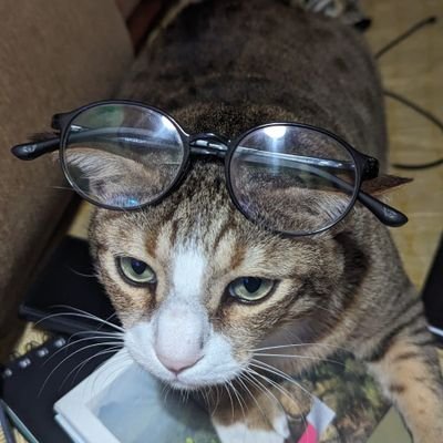 pranavlp's profile picture. Pluviophile