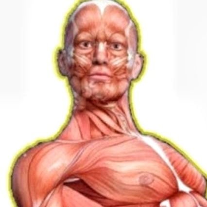 TAKmufc's profile picture. 