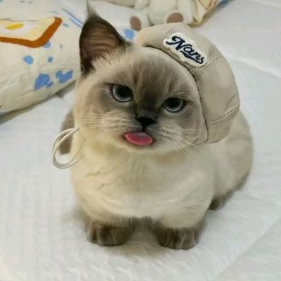 KHdrblx56648's profile picture. 