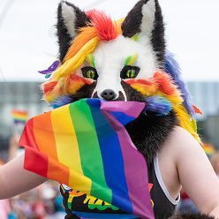 He/Him/They/Them🏳️🌈-Big gamer🎮fursuit maker -furry since 2017🐺🦊- level 23-minors go fuck out of here🔞 old account was hacked🤬