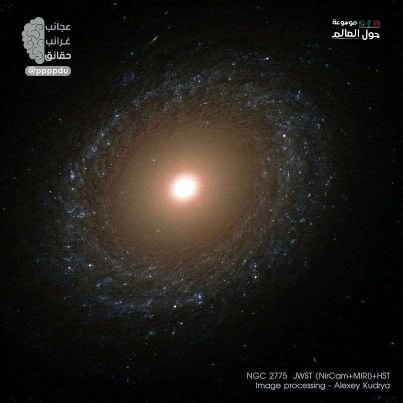 MhmdHam93978's profile picture. 