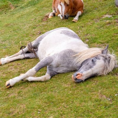 s5byriamCBgVAkm's profile picture. ギャンブル好きです。競馬とパチンコをやります。
2023回収率125%です。重賞予想をしていきます。
馬券は単複ワイド中心に買ってます。穴党向けに穴馬をサブ垢で上げてます。一緒にギャンブル楽しみましょう！