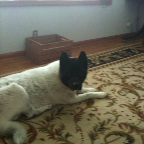 terryjoeblake's profile picture. 