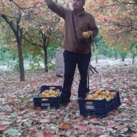 hacı değirmendaş (@degirmendashaci) 's Twitter Profile