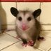 Ren Amaniya (@vertigovevo) Twitter profile photo Ren Amaniya (@vertigovevo) Twitter profile photo