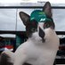 Connor_ElMichiF1 🇪🇸 🏁🏁 (@connorelgato) Twitter profile photo Connor_ElMichiF1 🇪🇸 🏁🏁 (@connorelgato) Twitter profile photo