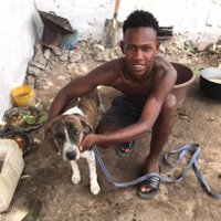 Massireh badjie (@jammehdodo) 's Twitter Profile