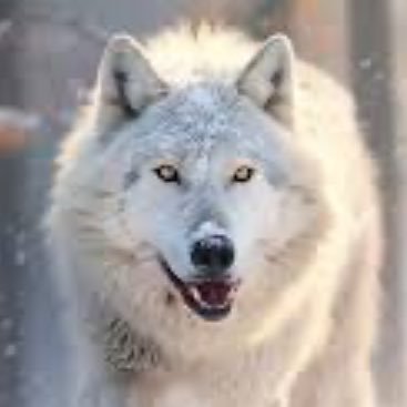 MAKI_levelup's profile picture. ＆TEAM箱推し!特にMAKI！❤️ニコマキ大好き！MAKIの歌声ビジュアル好きー！MAKIの成長が楽しみすぎる❤️Auditionからみてましたけど、MAKIもっと応援したくて専用アカウント作ってみました😄無言フォローごめんなさい。ルネ友欲しい！そして色んなこと教えて欲しい！BTSテテペンarmyです🐯