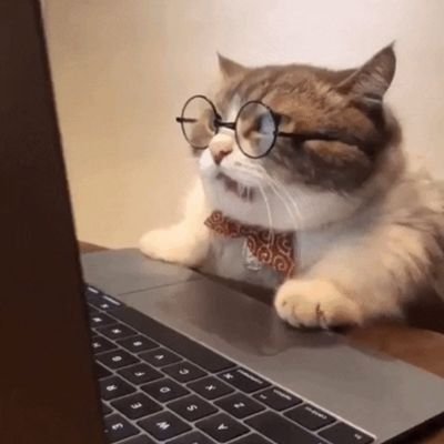 miyisflores's profile picture. 