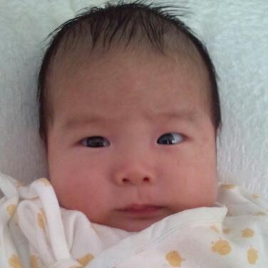 aterui802's profile picture. 