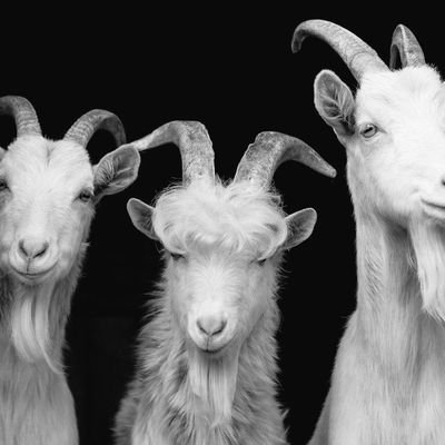 11amfemi's profile picture. FC Barcelona❤️💙 Aspiring Footballer 
Male Nurse