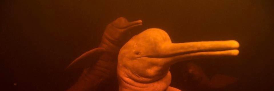 StanForeve12297's profile picture. engineer 👷‍♂️, someone who loves life & nature - want to see as much as possible from this beautiful place ❤️🏔️