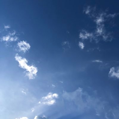 OwO_sheesh's profile picture. 22🎓