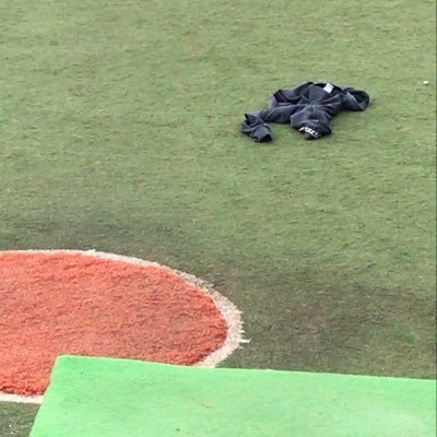 ののさんのプロフィール画像