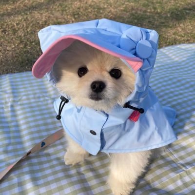 ishaaaadio9's profile picture. ♥️🍃☕️🌊🎸✨🎨🫧