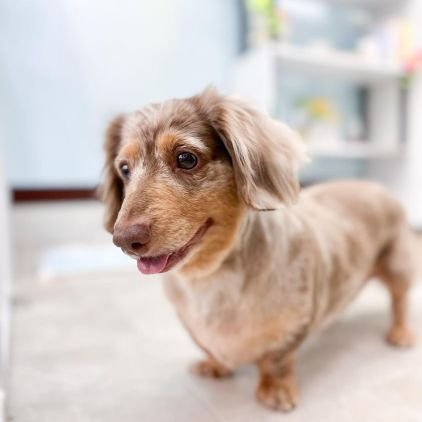 koji490113's profile picture. MISIA(MSA)、浜田省吾(Road and Sky)、藤井風、角松敏生(BIC)、槇原敬之(Smile Dog) 、平井堅(Kh(+))推し。
妻・カニンヘンダックス♂️・保護猫♀️と暮らす、生まれて半世紀経過の通りすがりの第三者です。
※無言フォロー失礼いたします🙇