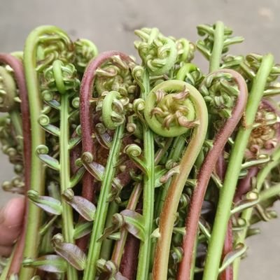 shi39932's profile picture. 