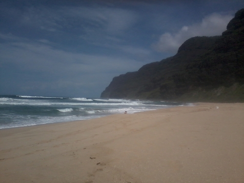 okayweb's profile picture. 