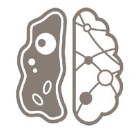 CMM/NSC GSA - uOttawa (@cmmnscgsa) 's Twitter Profile Photo CMM/NSC GSA - uOttawa (@cmmnscgsa) 's Twitter Profile Photo