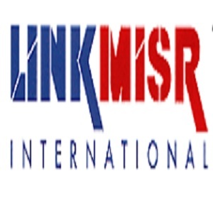 Link Misr Profile