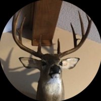 Arkansas Cult45(@Cult4520) 's Twitter Profile Photo