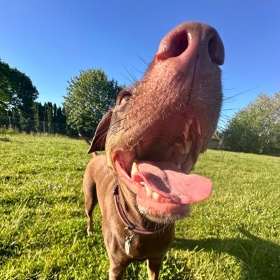 texasflyinghigh's profile picture. countryside is my home 🏠