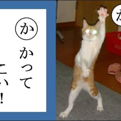 cha_ma_ko_83570's profile picture. 前のアカウントログインできず
とりあえず改めて作りました
すみません