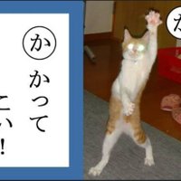 ちゃまこ (@cha_ma_ko_83570) 's Twitter Profile Photo ちゃまこ (@cha_ma_ko_83570) 's Twitter Profile Photo