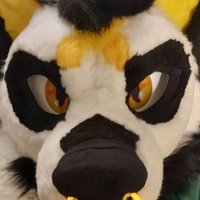 the Grumpiest cryptid on bsky (@mcoydog) 's Twitter Profile