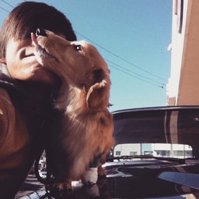Yuki Miyamotoさんのプロフィール画像