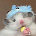 แอ็คล็อกของมาเชลล์🐰 (@mashell141213) Twitter profile photo แอ็คล็อกของมาเชลล์🐰 (@mashell141213) Twitter profile photo