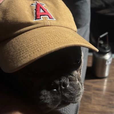 alex_isfranco's profile picture. #GoHalos
