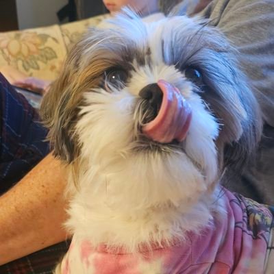 Nana of 6. #ForTheShoe
#DogMom to #LunaPepper
#metoo #MarineNana
Tmeyer2008 on Bluesky, Threads & Instagram