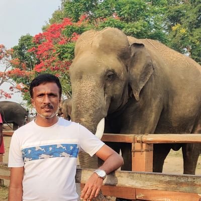 prasannakumars's profile picture. I don't know whether I live for dreams or dreams made me.. All I know is to dream and dream..