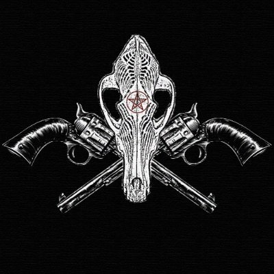 NecrosyseA's profile picture. Variety Streamer, Twitch Aff, Professional Retweeter | he/him