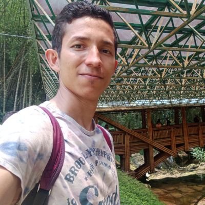 loumorales5's profile picture. 