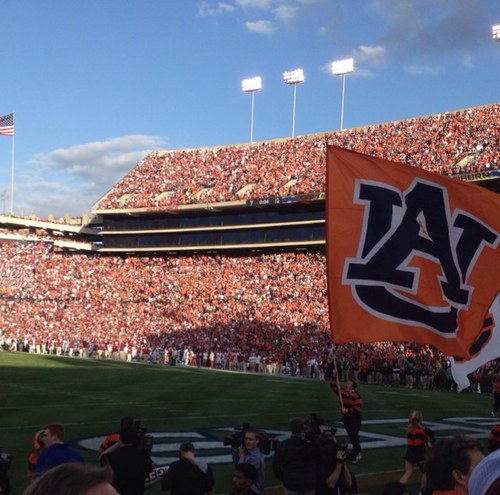 SmitMeg's profile picture. 