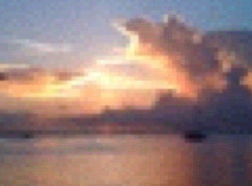 tradavisx3's profile picture. 