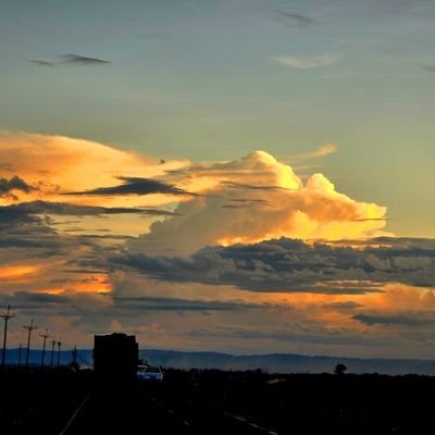 Kuikenyan's profile picture. Just a curious woman.