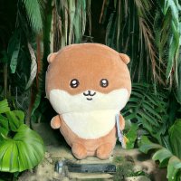 たくましく生きるカワウソ (@kawauso_tkms) 's Twitter Profile