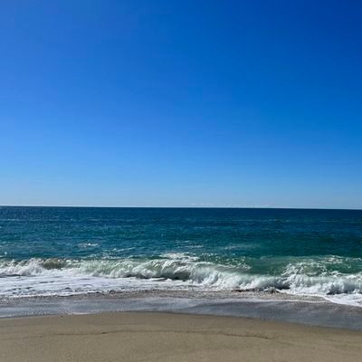 Emcc41267905's profile picture. 