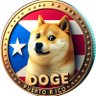 DogePuertoRico's profile picture. Puerto Rican🇵🇷Riding the @Dogecoin wave 🌊Caribbean Vibes,🏝️Crypto Dreams 🇵🇷🐕📈🚀🔥 BTC / ETH / NFT @Tesla Ai Art @SpaceX MAGA! 🇺🇸😎🗣️🦾
