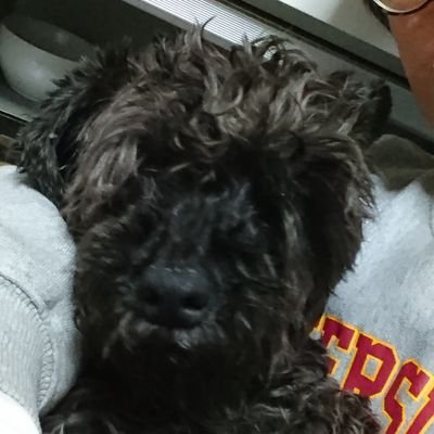 pcca21_75's profile picture. シュナウザー好きの都内在住のフロサポです。とっくにリタイアしてのんびりホームを堪能してます。読み専、無言フォローで失礼します。鷹虎と友翔と蓮之と斗哉とながねと太陽をＵトドで見たい。