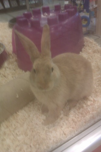 JonGThomas's profile picture. 