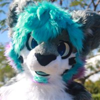 Shaun Winter (@polyirbis) 's Twitter Profile