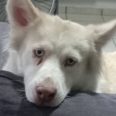 bl4skylum's profile picture. 