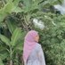 ya Allah gandakan rezeki Sabrina amin 🤲 (@thesayama) Twitter profile photo ya Allah gandakan rezeki Sabrina amin 🤲 (@thesayama) Twitter profile photo
