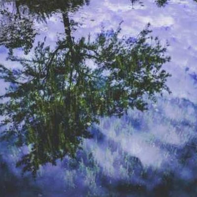 MacneillL74948's profile picture. 