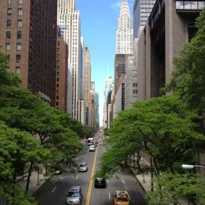 cockerill59963's profile picture. 